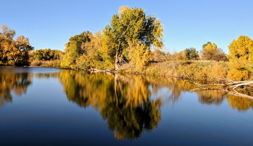 Riverbend Ponds Natural Area